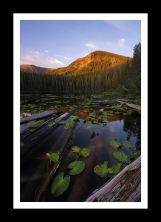 sunrise at surprise.jpg